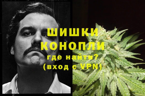 apvp Новозыбков
