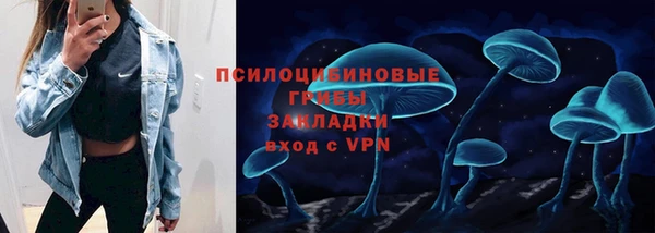 соль ск Новокубанск