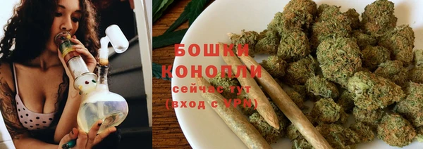 apvp Новозыбков