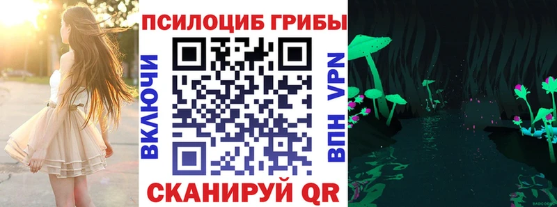 Псилоцибиновые грибы MAGIC MUSHROOMS Петровск-Забайкальский