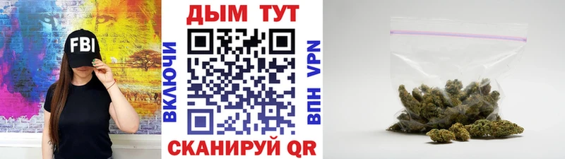 Бошки Шишки THC 21%  сколько стоит  Петровск-Забайкальский 